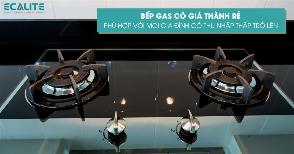 giá thành rẻ phù hợp với nhiều gia đình 