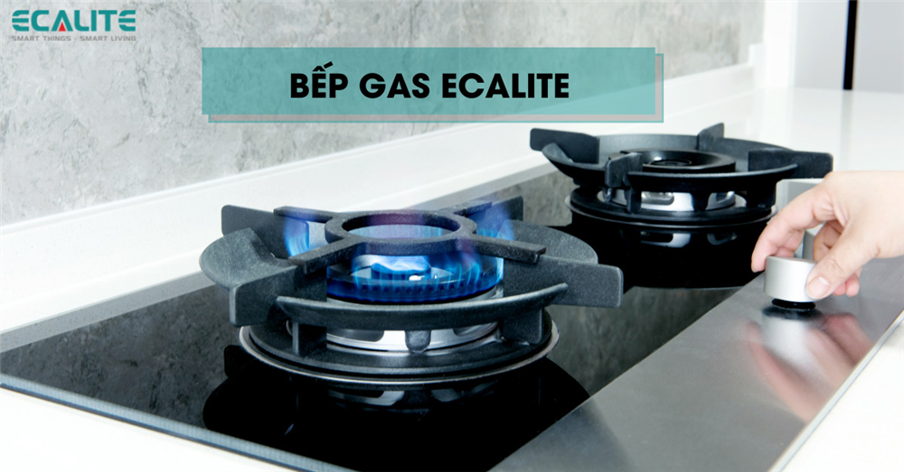 Bếp gas Ecalite