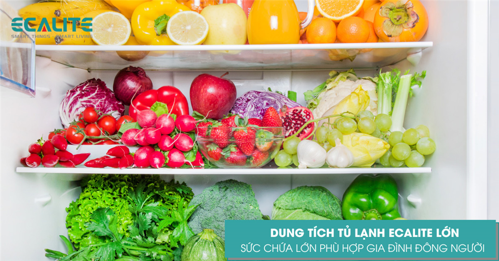 Dung tích tủ lạnh lớn phù hợp gia đình đông người