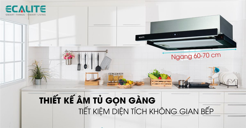 máy hút mùi âm tủ Ecalite