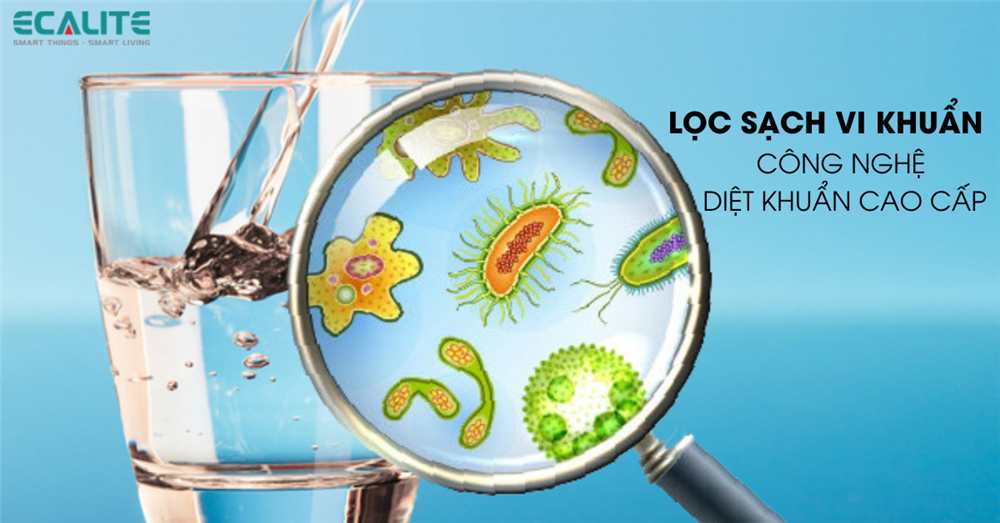Máy lọc nước Ecalite lọc sạch vi khuẩn trong nước