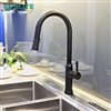 Vòi rửa chén nóng lạnh Pull-down Ecalite EF-K134B có dây rút