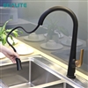 Vòi rửa chén nóng lạnh Pull-out Ecalite EF-K569BR có dây rút