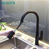 Vòi rửa chén nóng lạnh dây rút Pull-out Ecalite EF-K572B