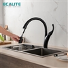 Vòi rửa chén nóng lạnh Pan-tree Ecalite EF-K624B có dây rút