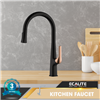 Vòi rửa chén nóng lạnh Pull-out Ecalite EF-K569BR có dây rút