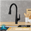 Vòi rửa chén nóng lạnh dây rút Pull-out Ecalite EF-K572B