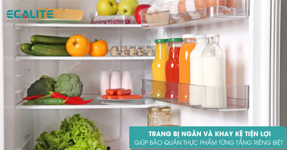 Tủ lạnh Ecalite trang bị nhiều khay kệ 